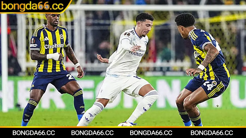 Soi kèo Newcastle United trên bongda66 với tỷ lệ kèo nhà cái và thống kê