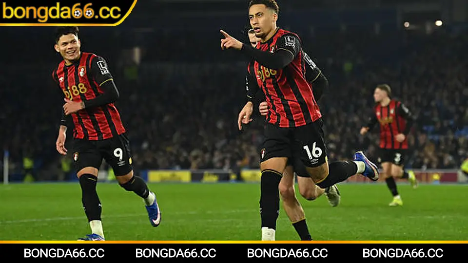 Soi kèo Ngoại hạng Anh trên bongda66 bằng dữ liệu và biến động
