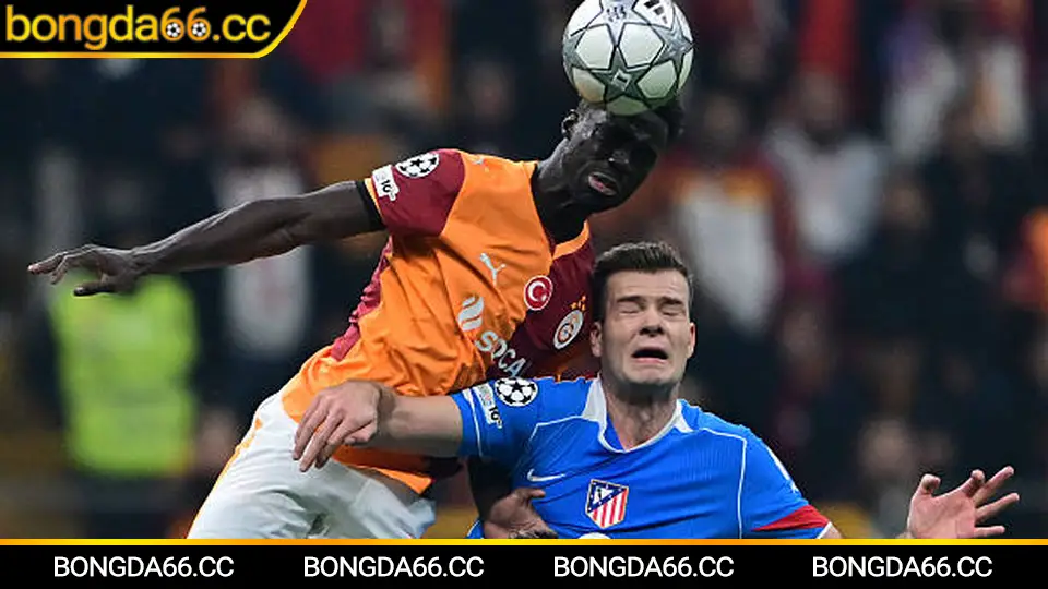 Lịch đá bóng hôm nay 29/01/2026: Theo dõi lịch thi đấu, kèo biến động và điểm nóng trước giờ lăn bóng