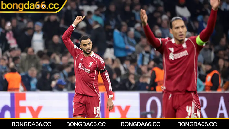 Soi kèo trận đấu Chelsea: kinh nghiệm đọc tỷ lệ kèo bóng đá chuẩn