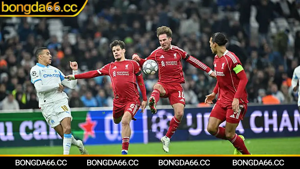 Zenit dưới lăng kính kèo nhà cái: DNA chiến thắng, xu hướng tỷ lệ và góc nhìn dự đoán 2026