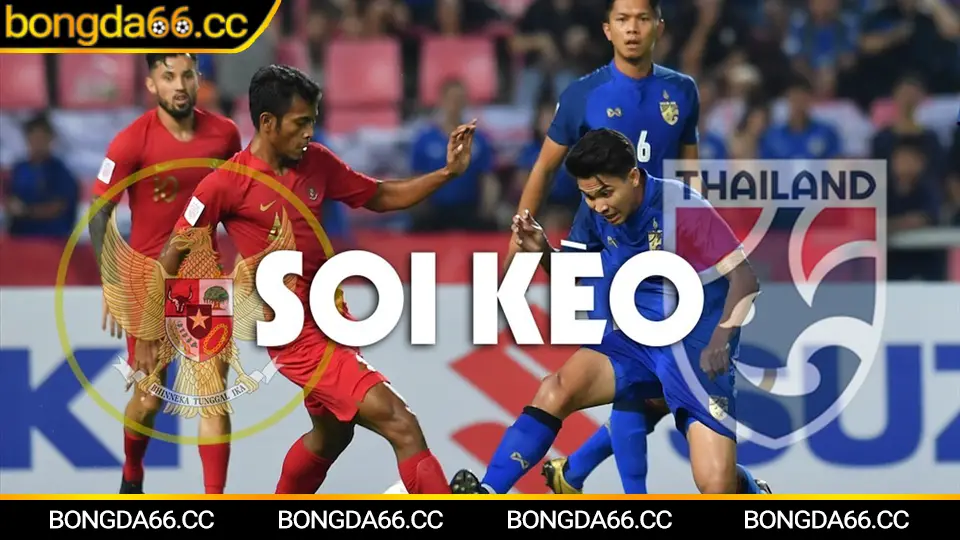 Theo dõi kèo nhà cái tv trên bóng đá 66 kèo nhà cái bongda66