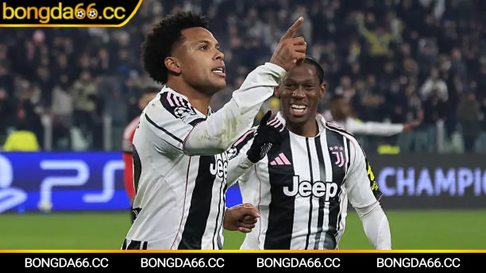 Thứ hạng của Arsenal: Từ “kẻ bám đuổi” đến ứng viên vô địch và cách đọc kèo theo biến động tỷ số