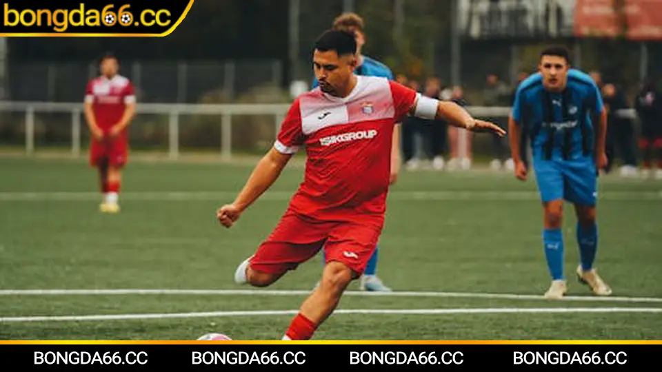 Biểu đồ biến động tỷ lệ bóng đá hôm nay và điểm vào kèo