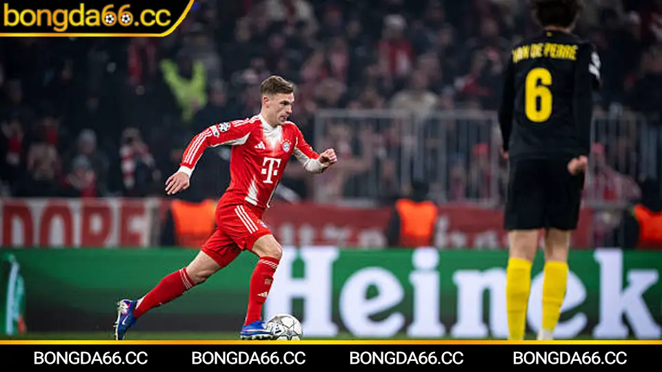 Tỷ lệ kèo tv theo dõi biến động kèo châu Á và tài xỉu