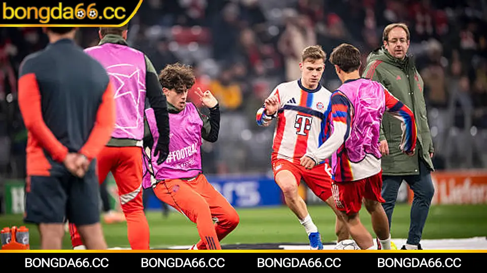 Phân tích tỷ lệ kèo tv cho trận chung kết thiên về ít bàn thắng