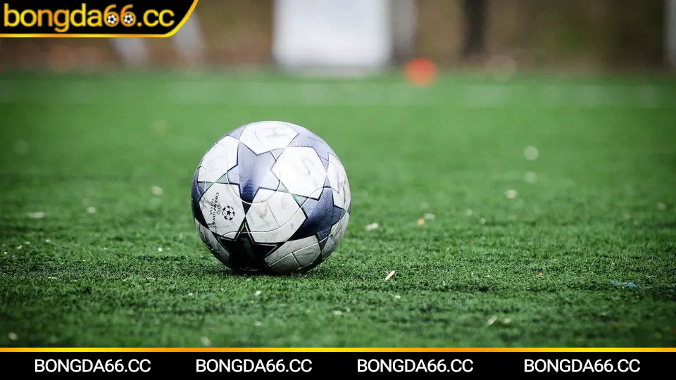 Borussia Dortmund: Hành Trình Vàng Đen Và Triển Vọng Sáng Ngời Trong Mùa Giải 2025/26