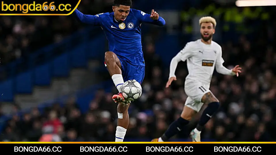 Trực tiếp bóng đá hôm nay: đọc tỷ lệ bóng đá theo “nhịp kèo” để bắt đúng thời điểm