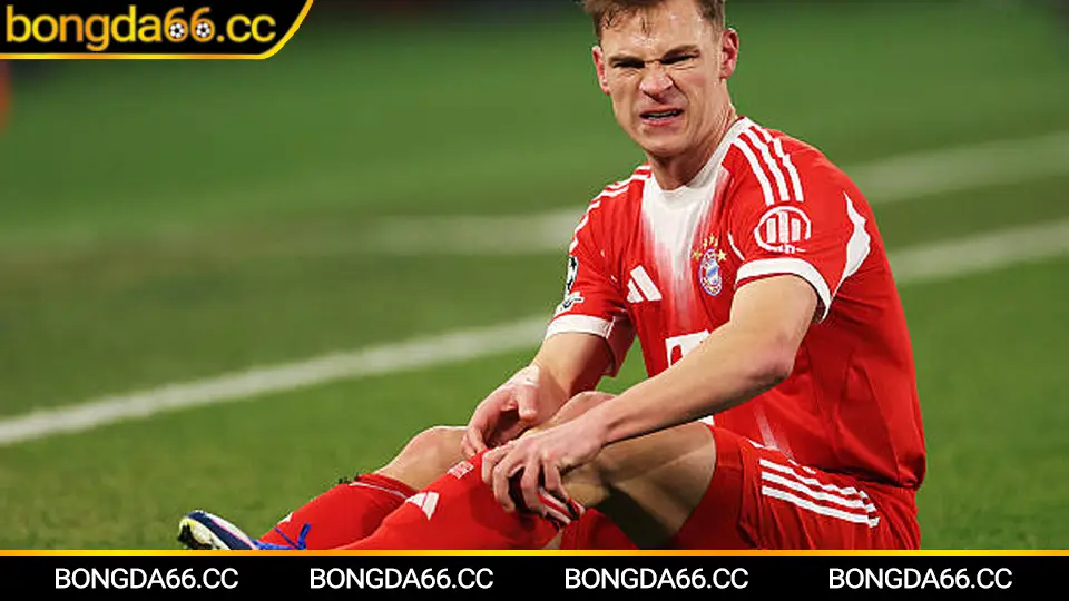 Đội tuyển bóng đá quốc gia Malaysia 2026: Thay máu lực lượng, tham vọng bứt tốc và góc nhìn kèo cược tại bongda66