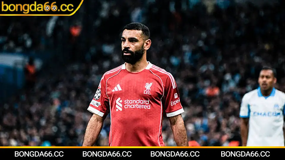 Mẹo cá cược trận đấu Arsenal trên Bongda66.cc với phân tích kèo nhà cái