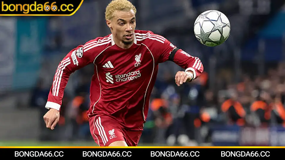 Liverpool 2026: Bản sắc Anfield, dữ liệu thành tích và góc nhìn kèo trên bongda66