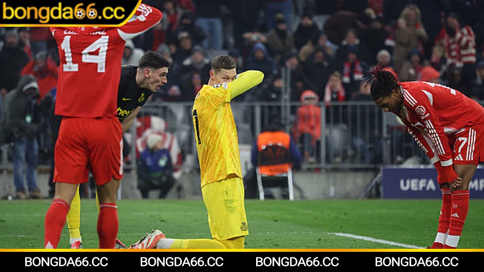 Phân tích dữ liệu dự đoán bóng đá với biểu đồ kèo nhà cái năm 2026 trên Bongda66