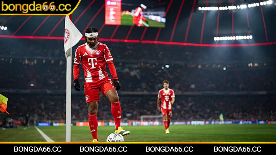 Soi kèo bóng đá hôm nay bằng dữ liệu phong độ và tỷ lệ chuẩn