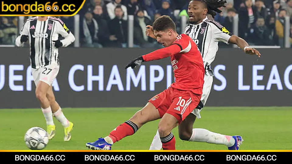 Tỷ lệ cá cược bóng đá 2026: Cách đọc kèo như dân chuyên, hiểu biến động và chọn điểm vào lệnh tại bongda66