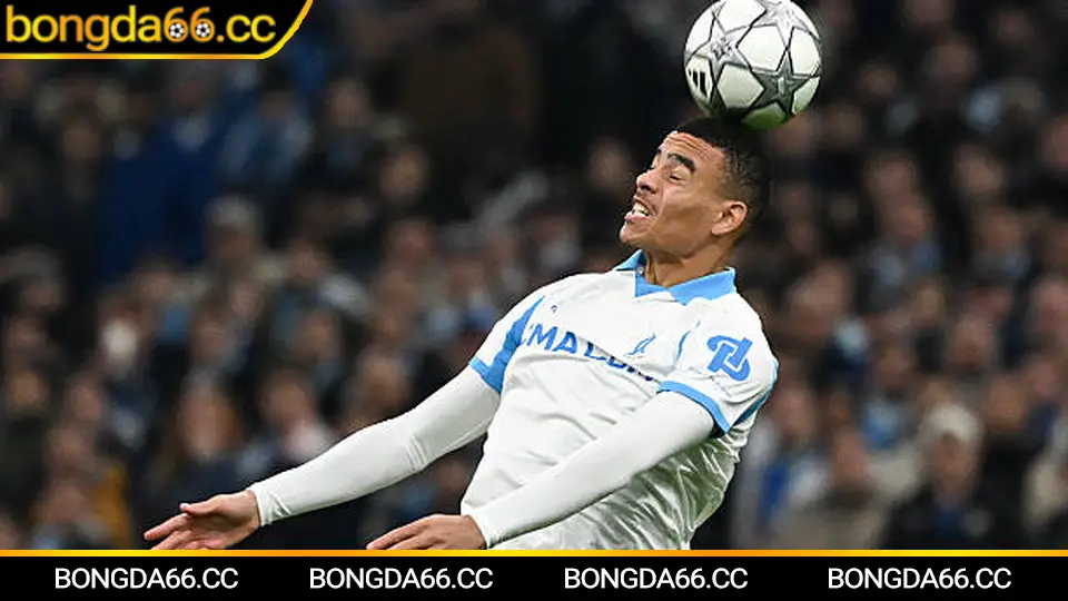 Dự đoán kết quả các trận đấu quan trọng trong lịch thi đấu bóng đá Việt Nam năm 2026