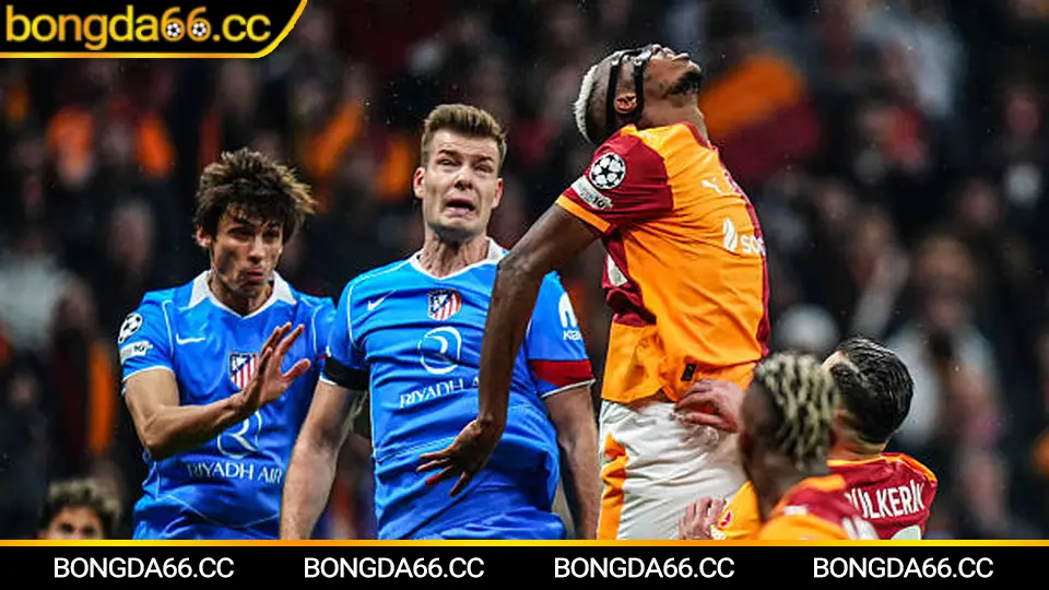 Đội hình Liverpool FC mùa 2025-2026 với các ngôi sao như Salah, Van Dijk và tài năng trẻ đang tỏa sáng